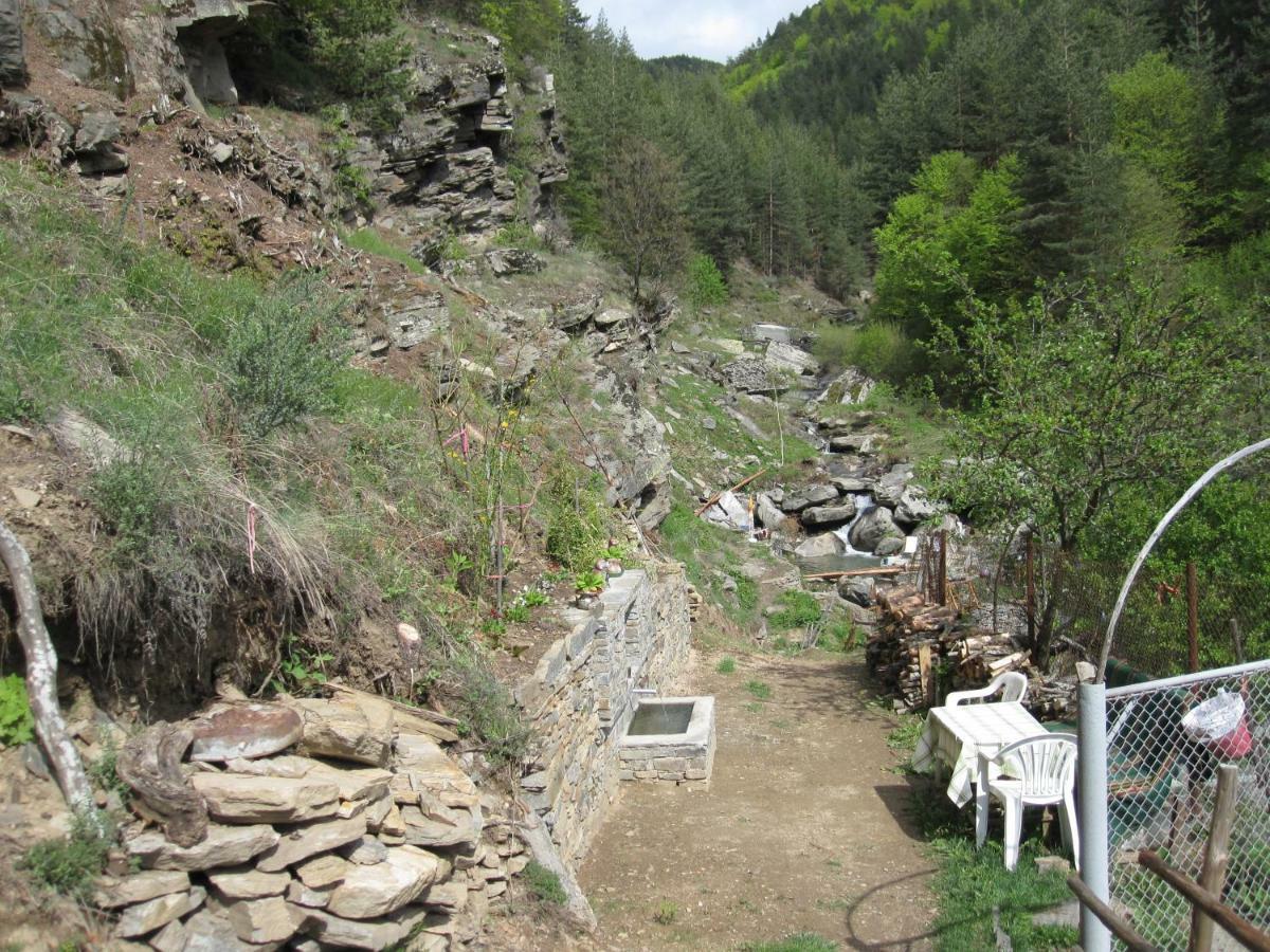 Hotel Deyanira Gorno Dryanovo Luaran gambar