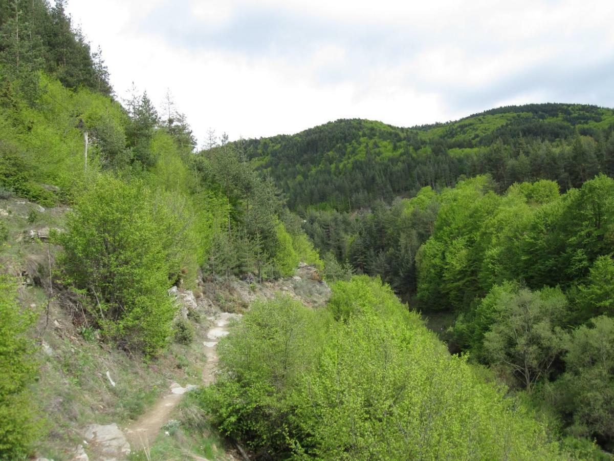 Hotel Deyanira Gorno Dryanovo Luaran gambar